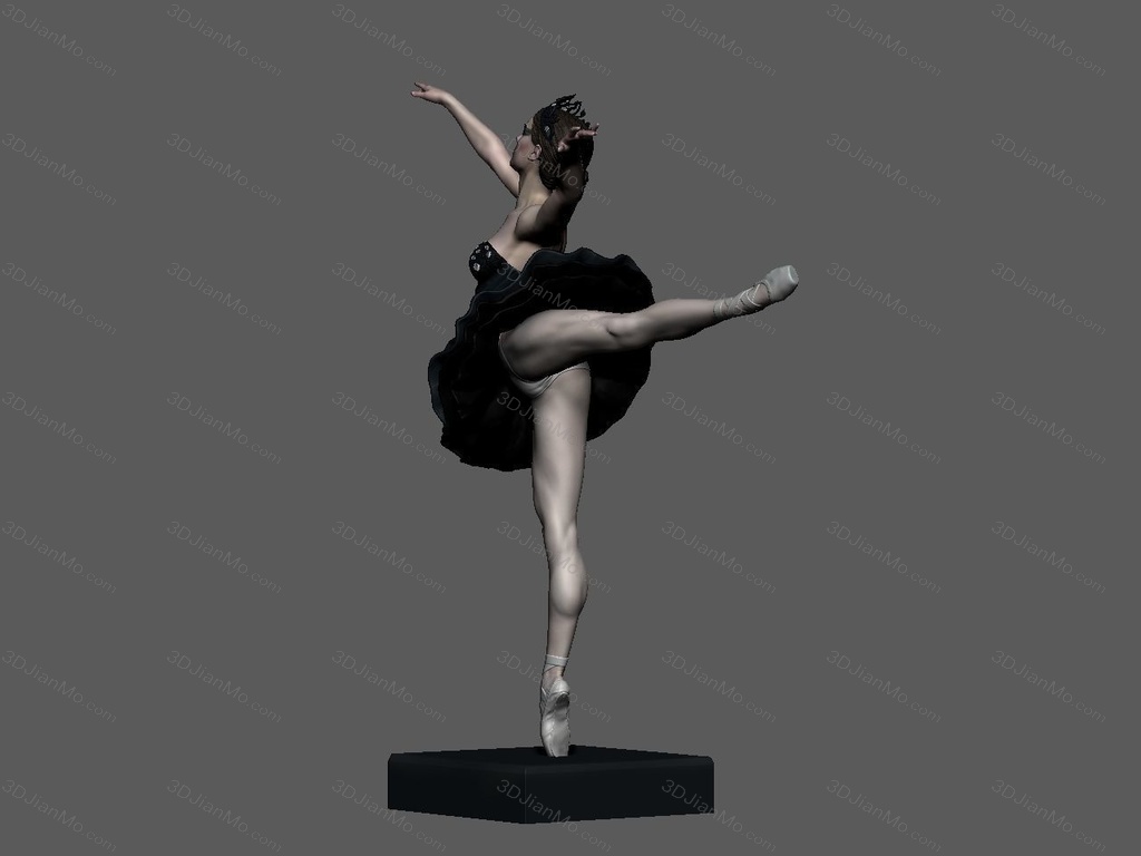 Stepanov 黑天鹅