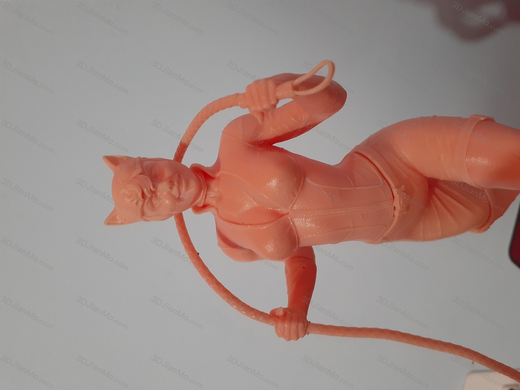 BrunoArt3D DC漫画 蝙蝠侠 猫女