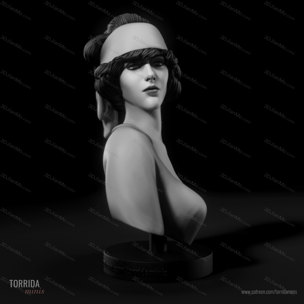 Torrida 盘发女