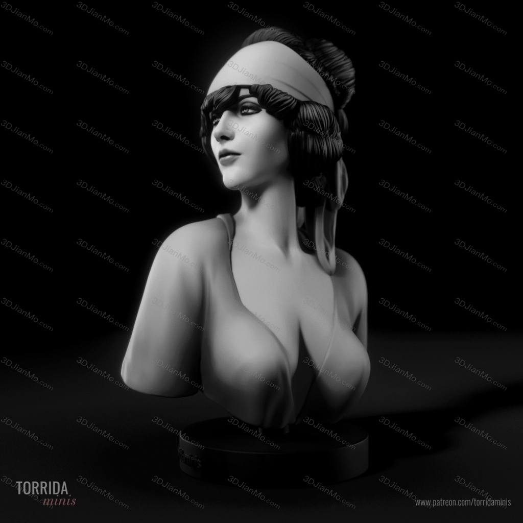 Torrida 盘发女