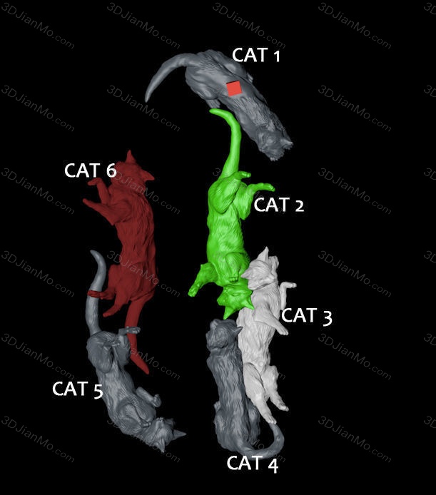 EXCLUSIVE 漫威 蜘蛛侠 黑猫