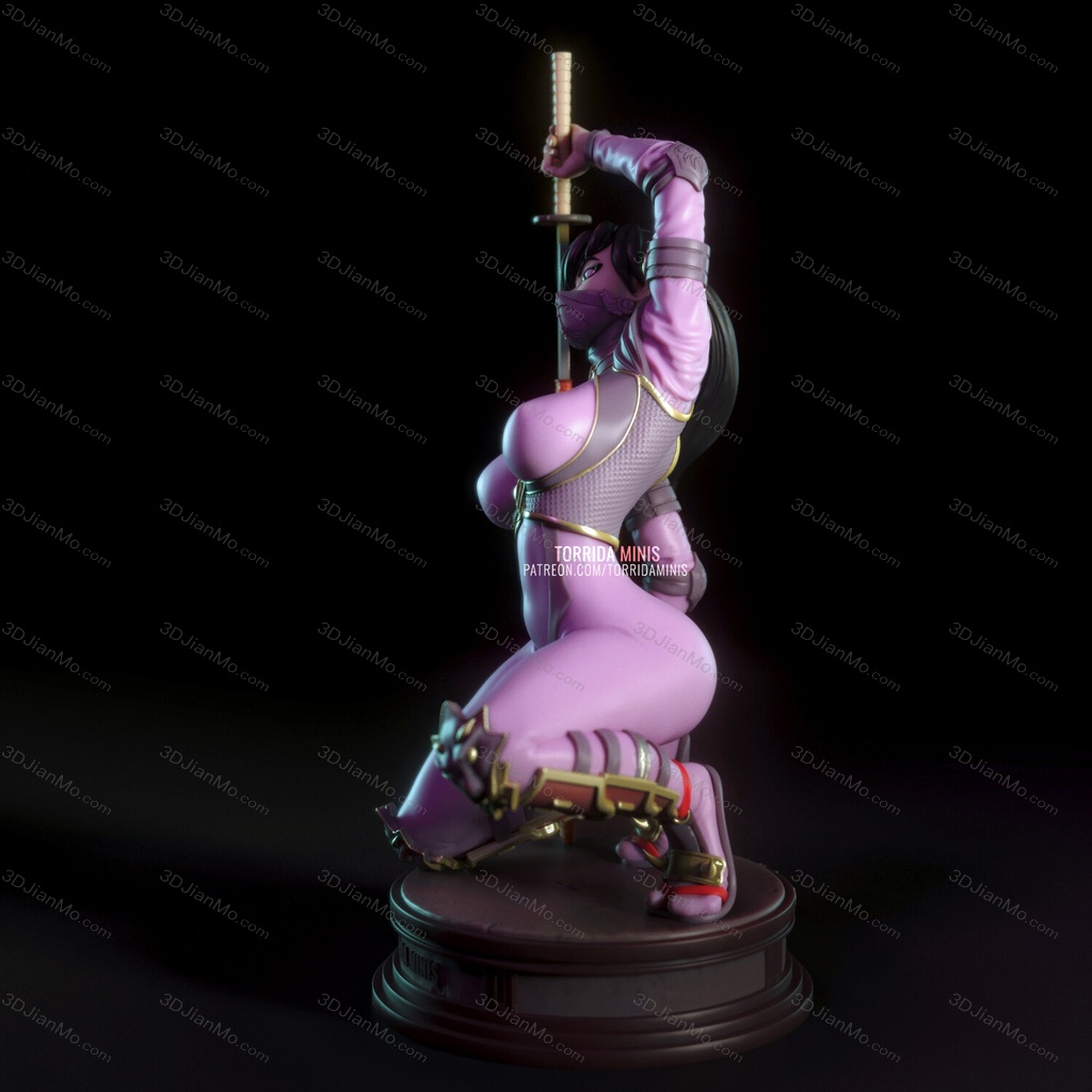 Torrida 忍者莎拉