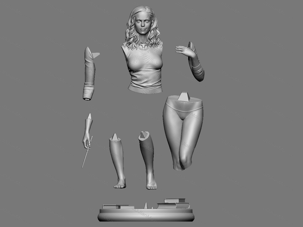 Stepanov 哈利波特 赫敏