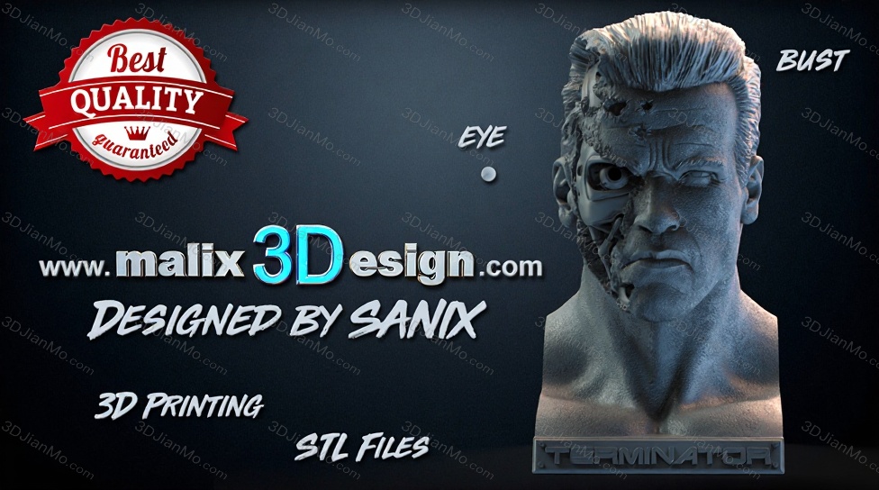 Sanix3d 终结者