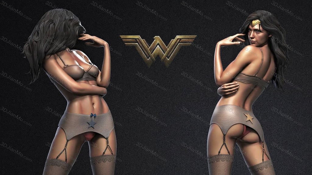 Vx-Labs DC漫画 神奇女侠1984