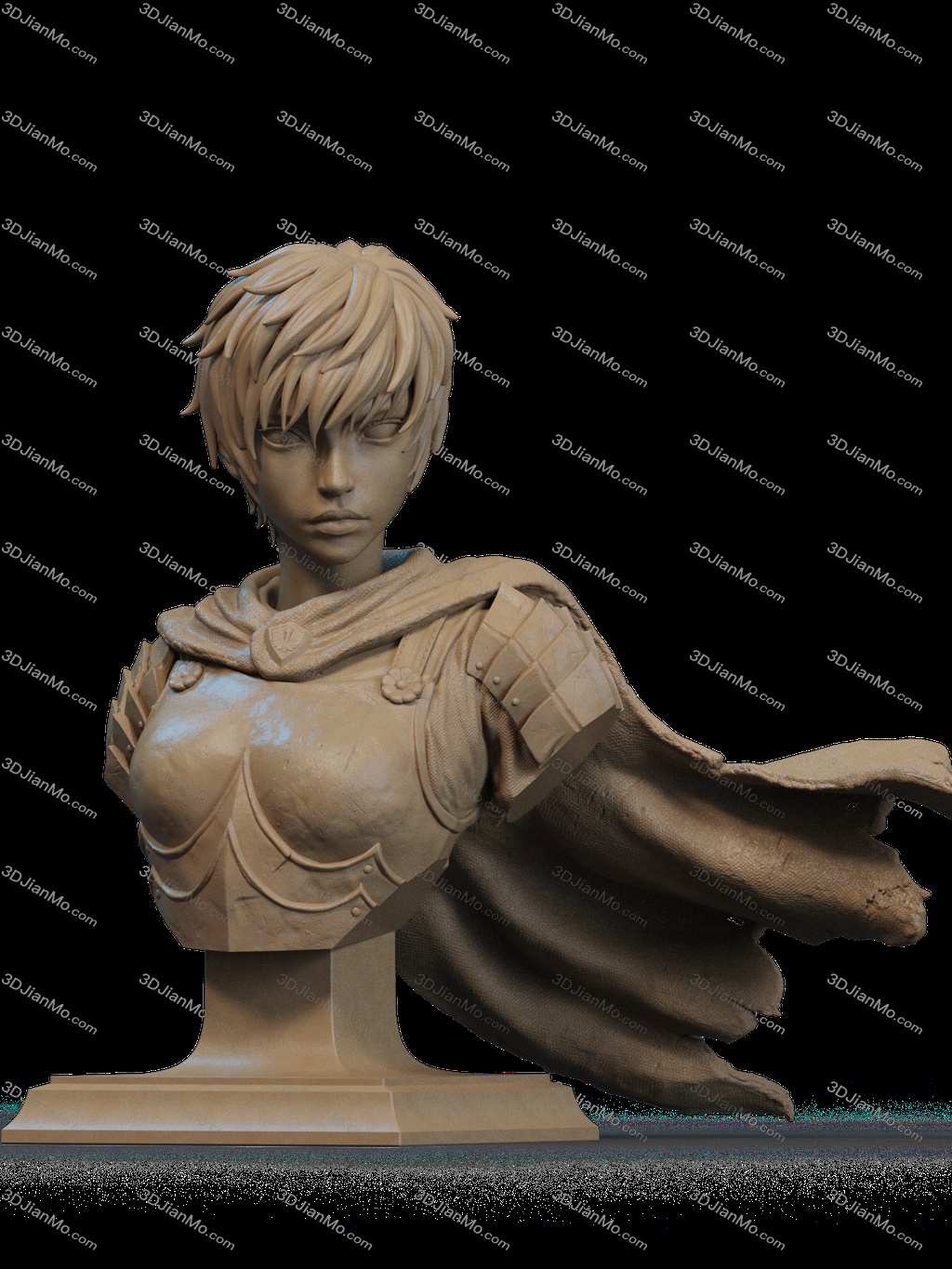 CA3D 24年12月半身像合集