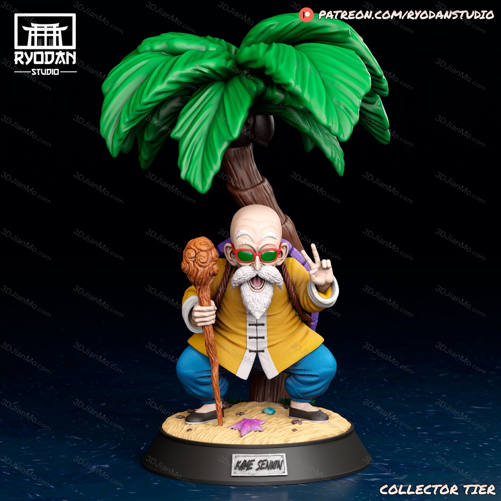 Ryodan 龙珠 龟仙人