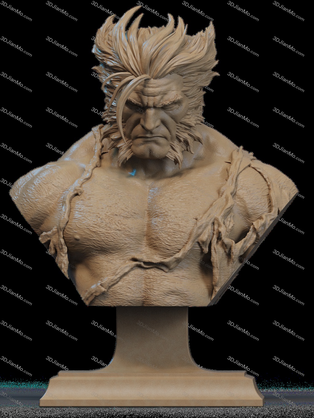 CA3D 24年12月半身像合集