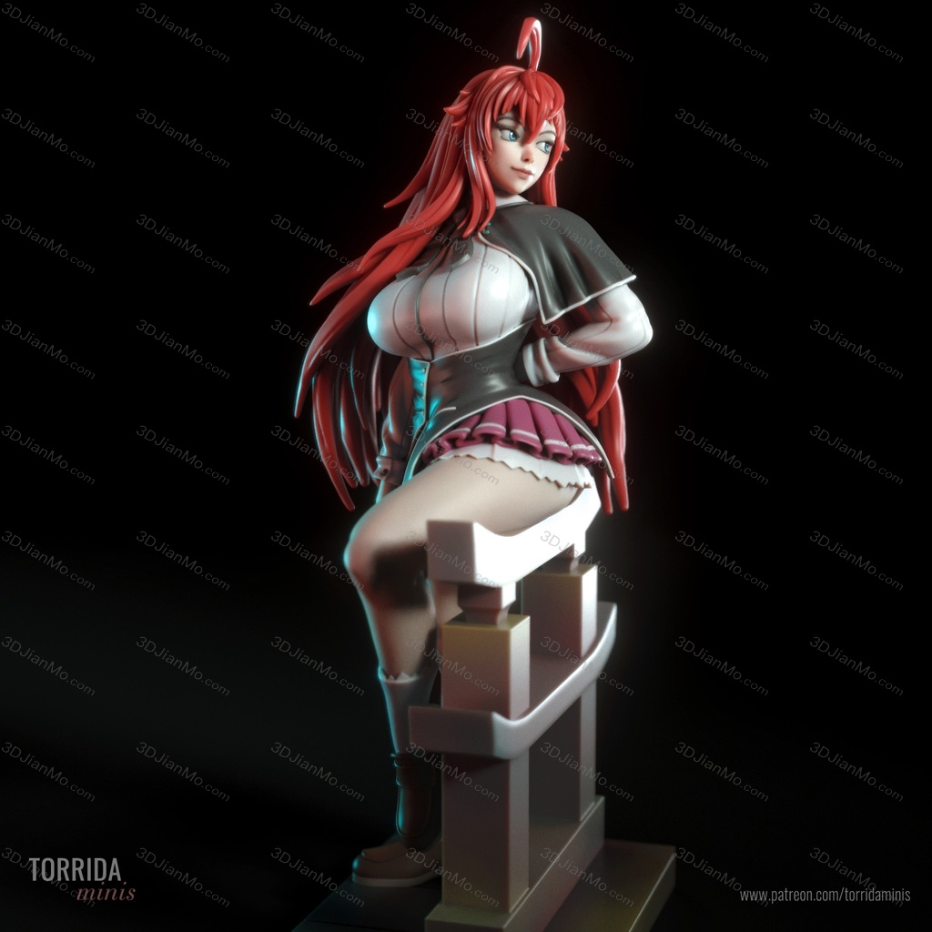 Torrida 恶魔高校D×D 莉雅丝·吉蒙里