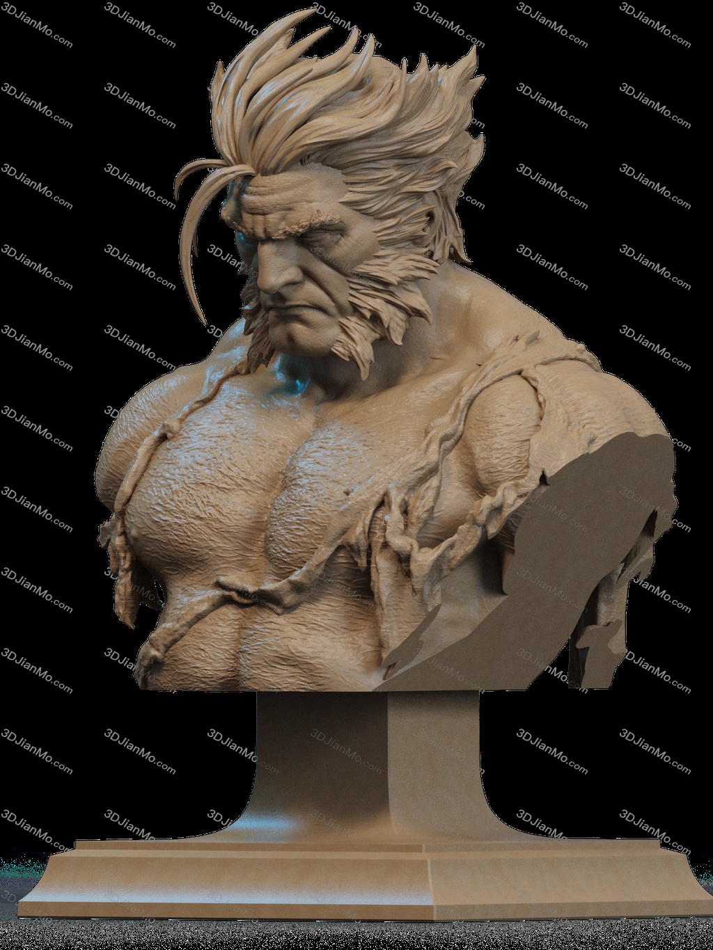 CA3D 24年12月半身像合集