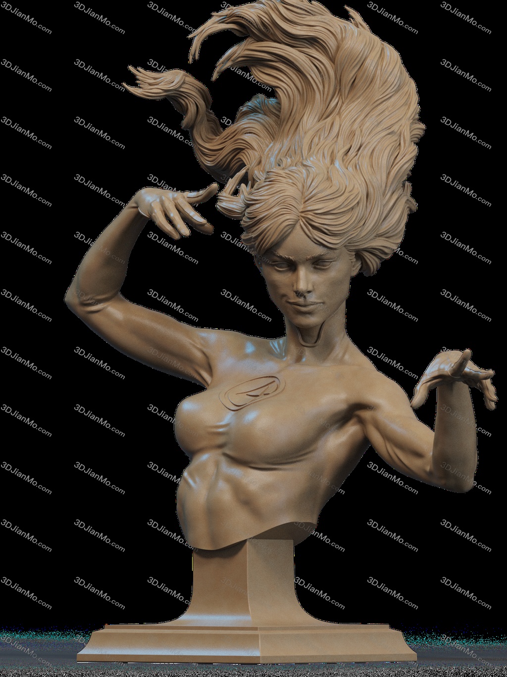 CA3D 24年12月半身像合集