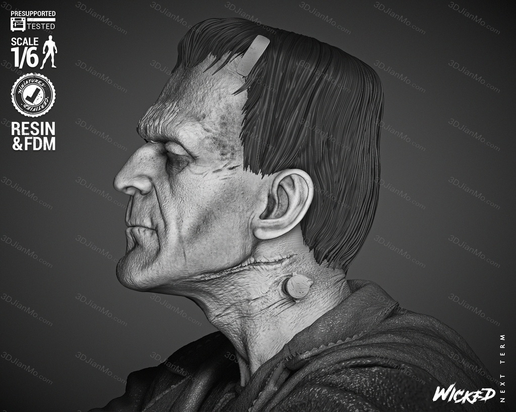 3DWicked 科学怪人 弗兰肯斯坦