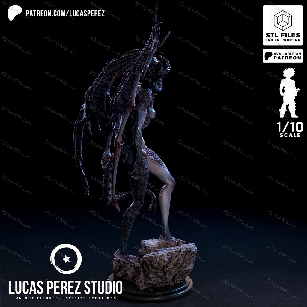 Lucas Perez 埃尔韦拉