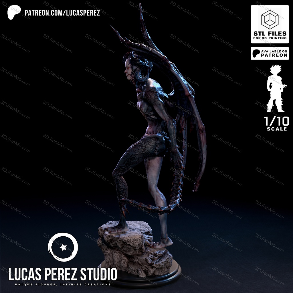 Lucas Perez 埃尔韦拉