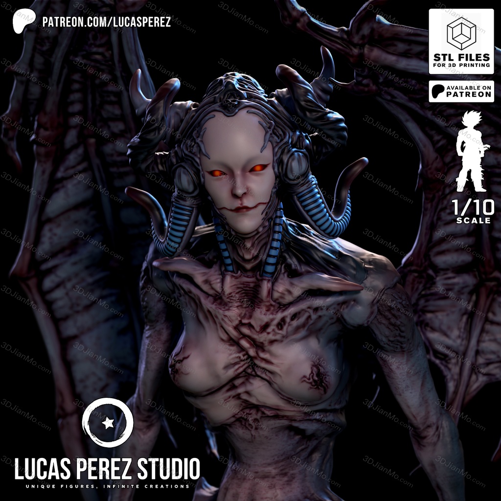 Lucas Perez 埃尔韦拉