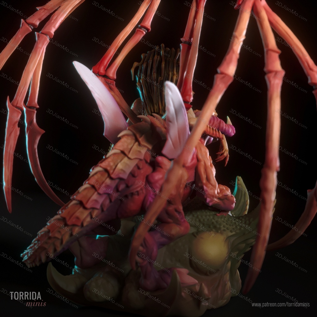 Torrida 星际争霸 刀锋女王