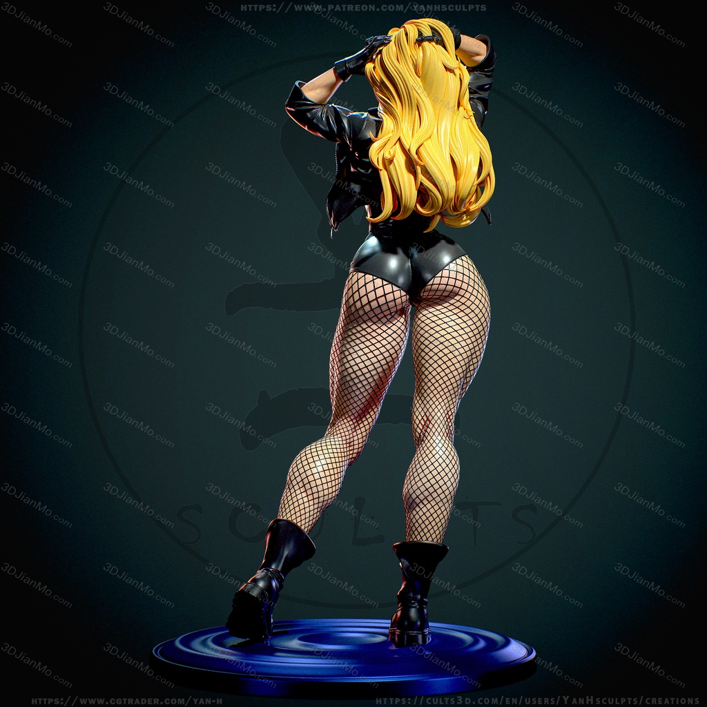 Yan H DC漫画 黑金丝雀