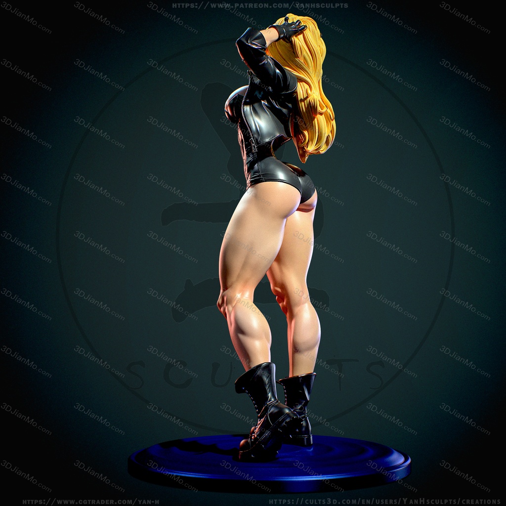 Yan H DC漫画 黑金丝雀