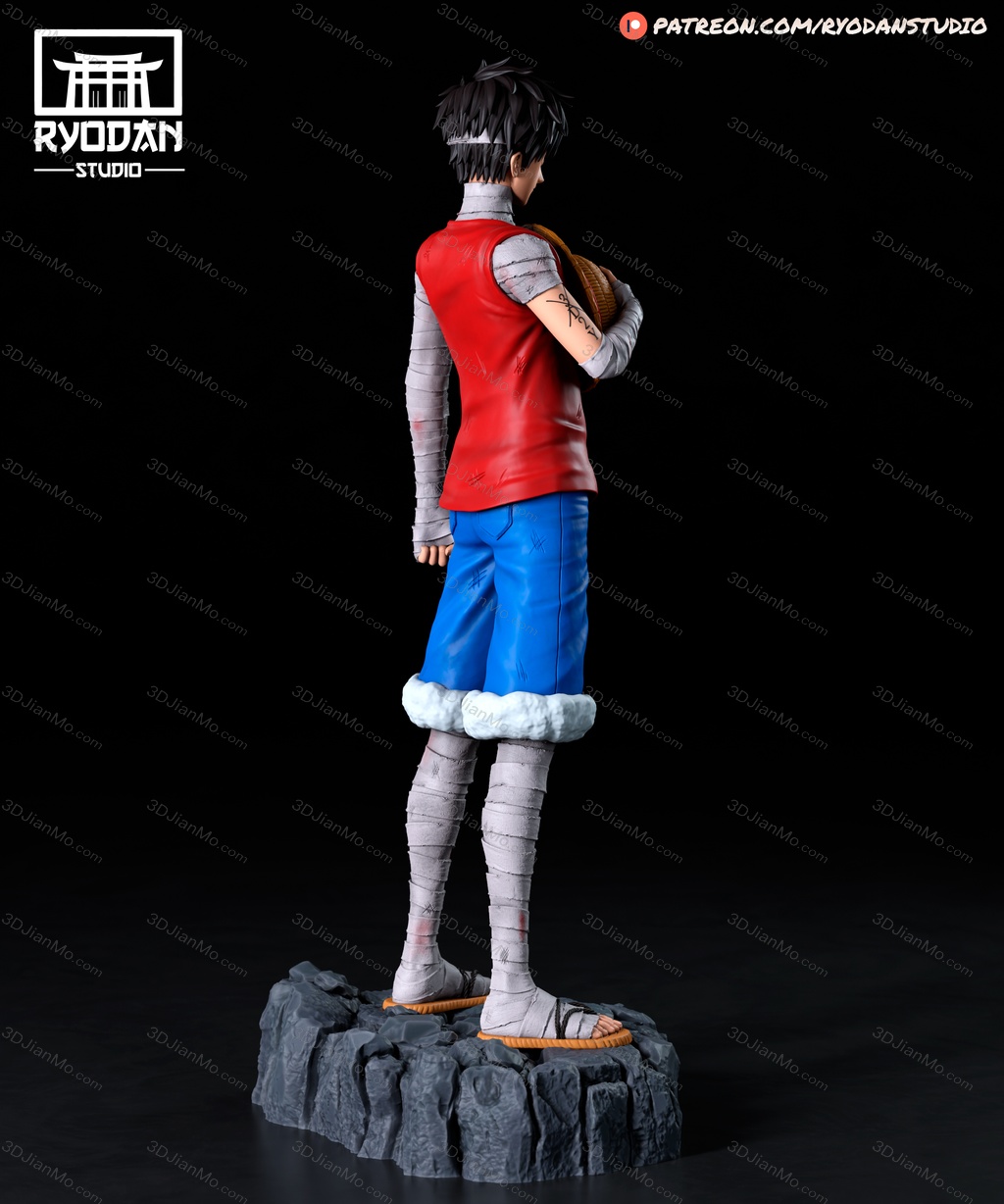 Ryodan 海贼王 蒙奇·D·路飞