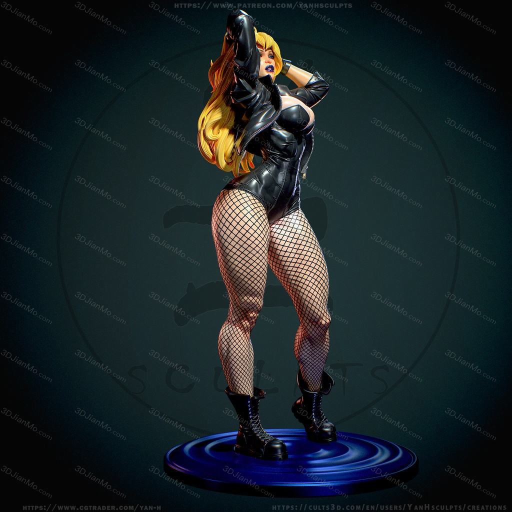 Yan H DC漫画 黑金丝雀