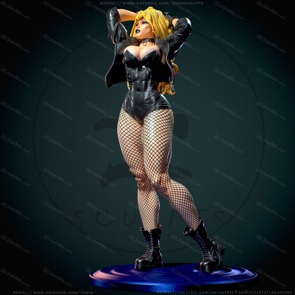 Yan H DC漫画 黑金丝雀