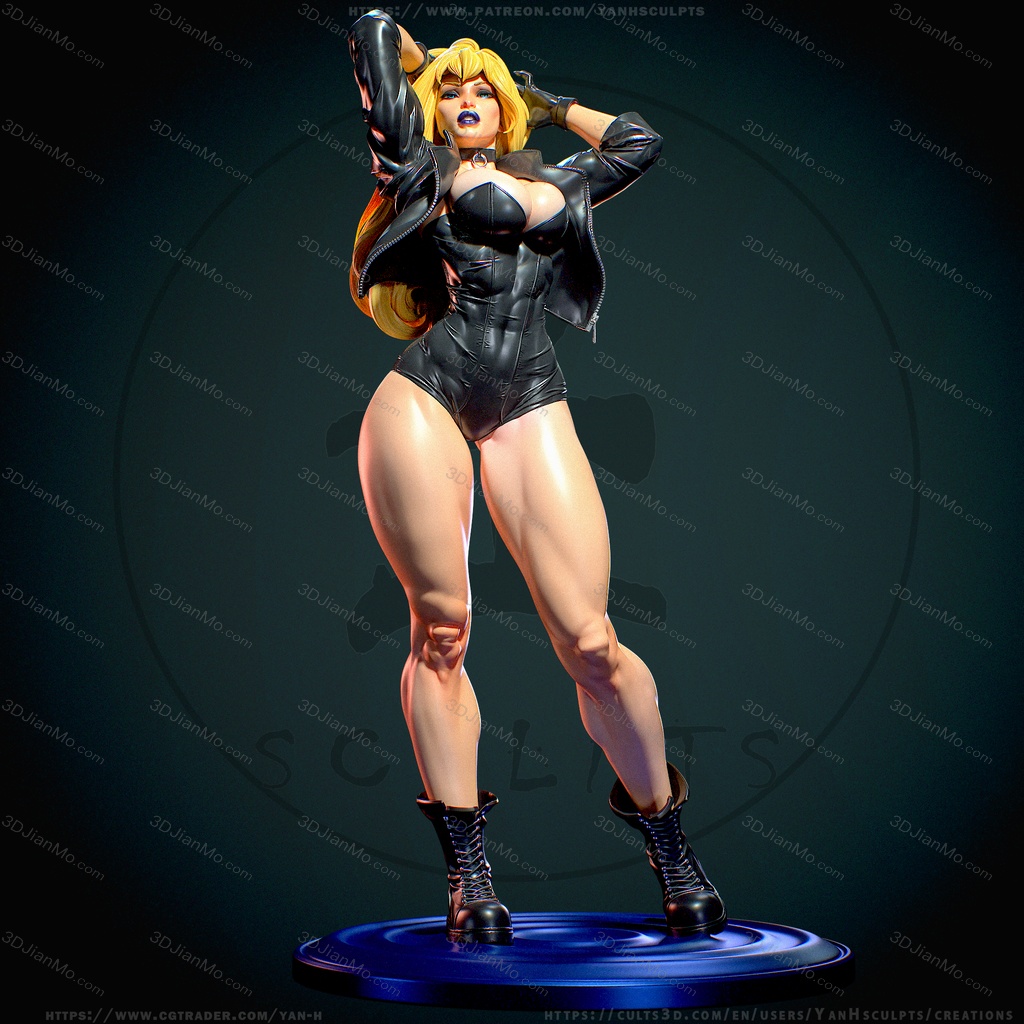 Yan H DC漫画 黑金丝雀