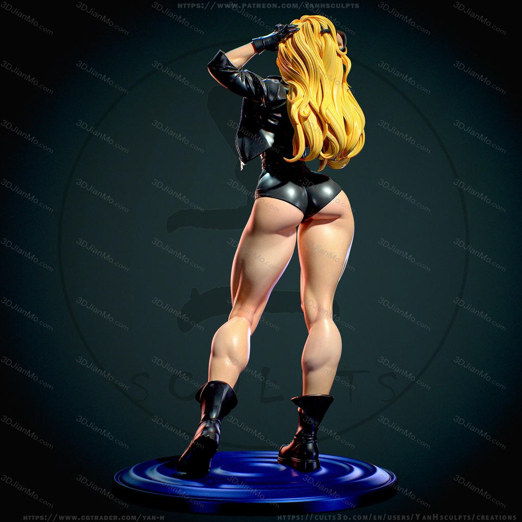 Yan H DC漫画 黑金丝雀