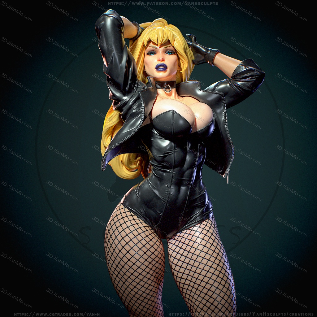 Yan H DC漫画 黑金丝雀