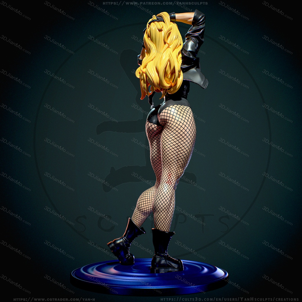 Yan H DC漫画 黑金丝雀