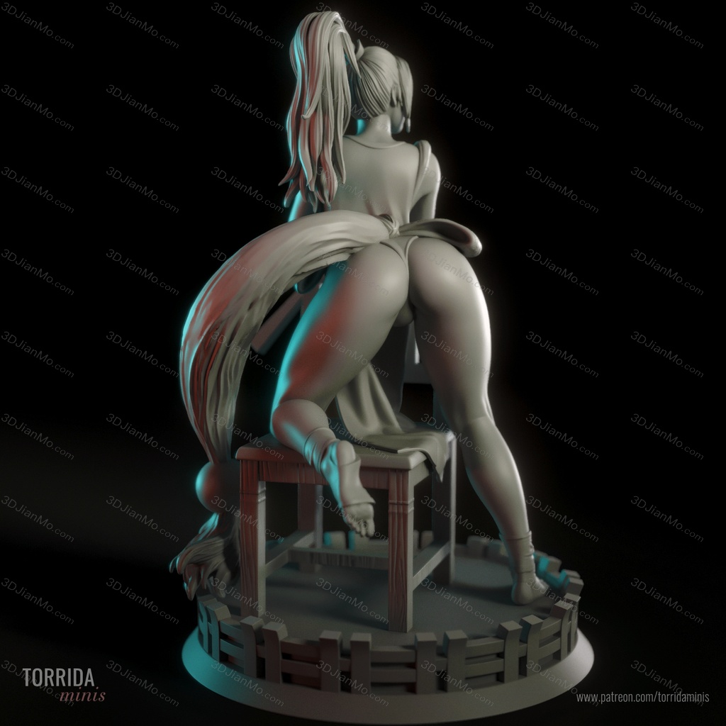 Torrida 街头霸王 不知火舞