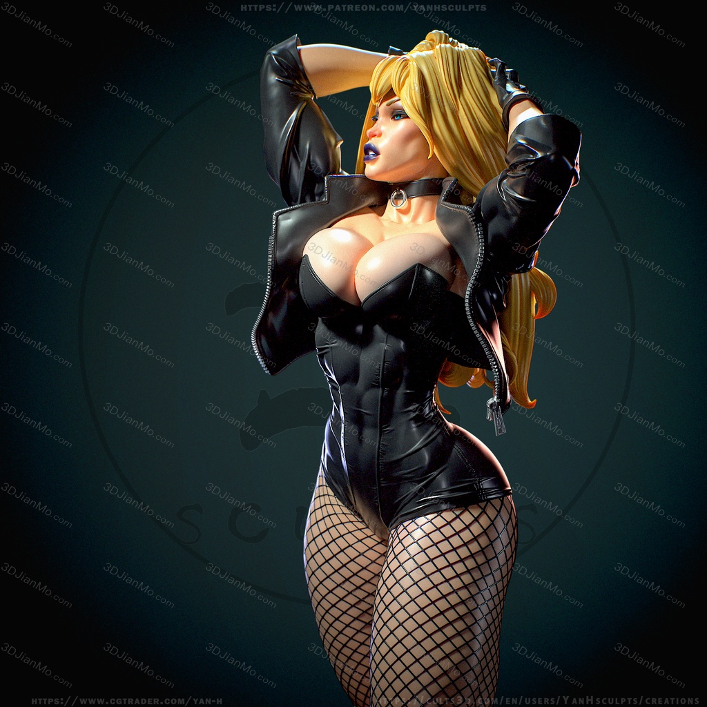 Yan H DC漫画 黑金丝雀