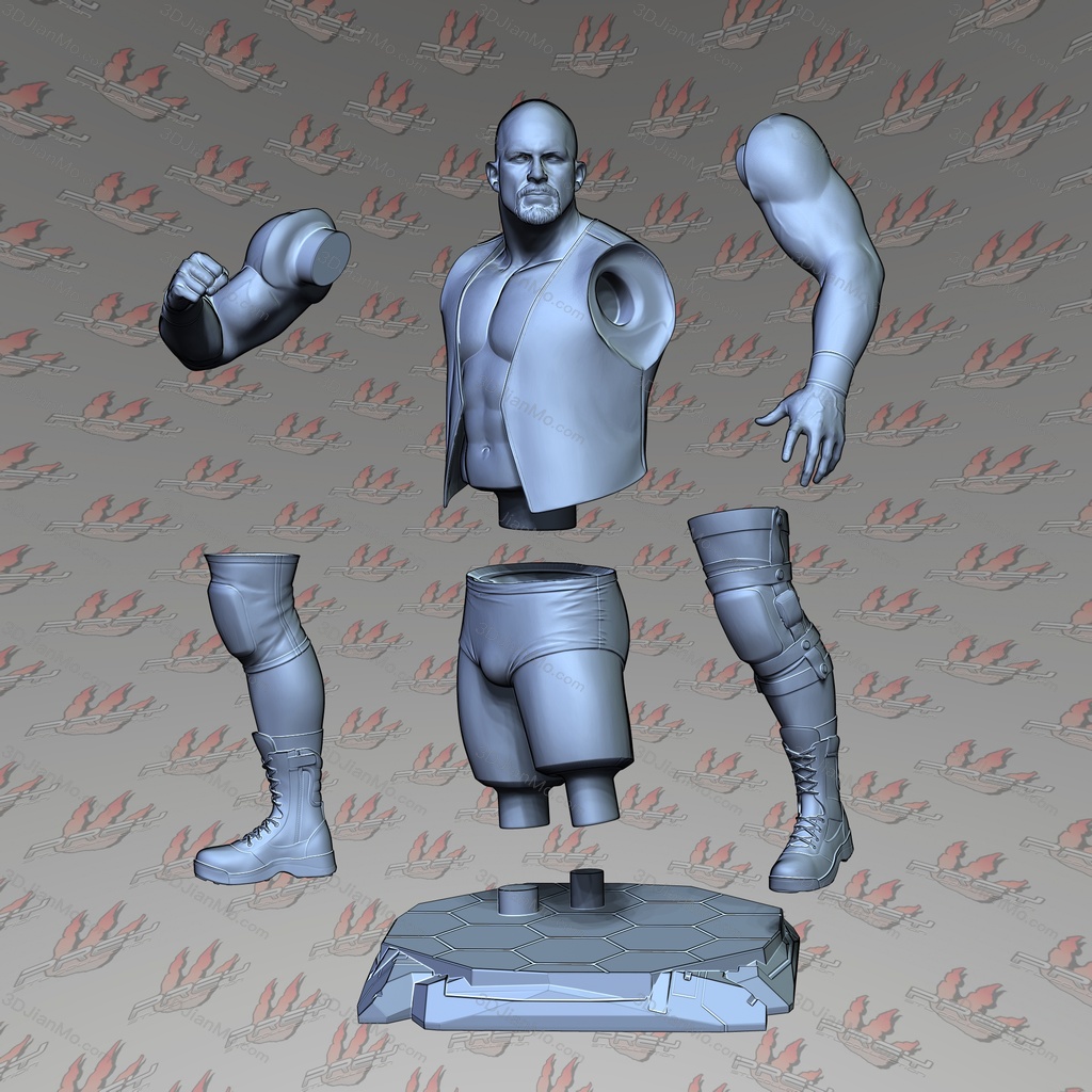 PCS 摔角手 史蒂夫·奥斯汀