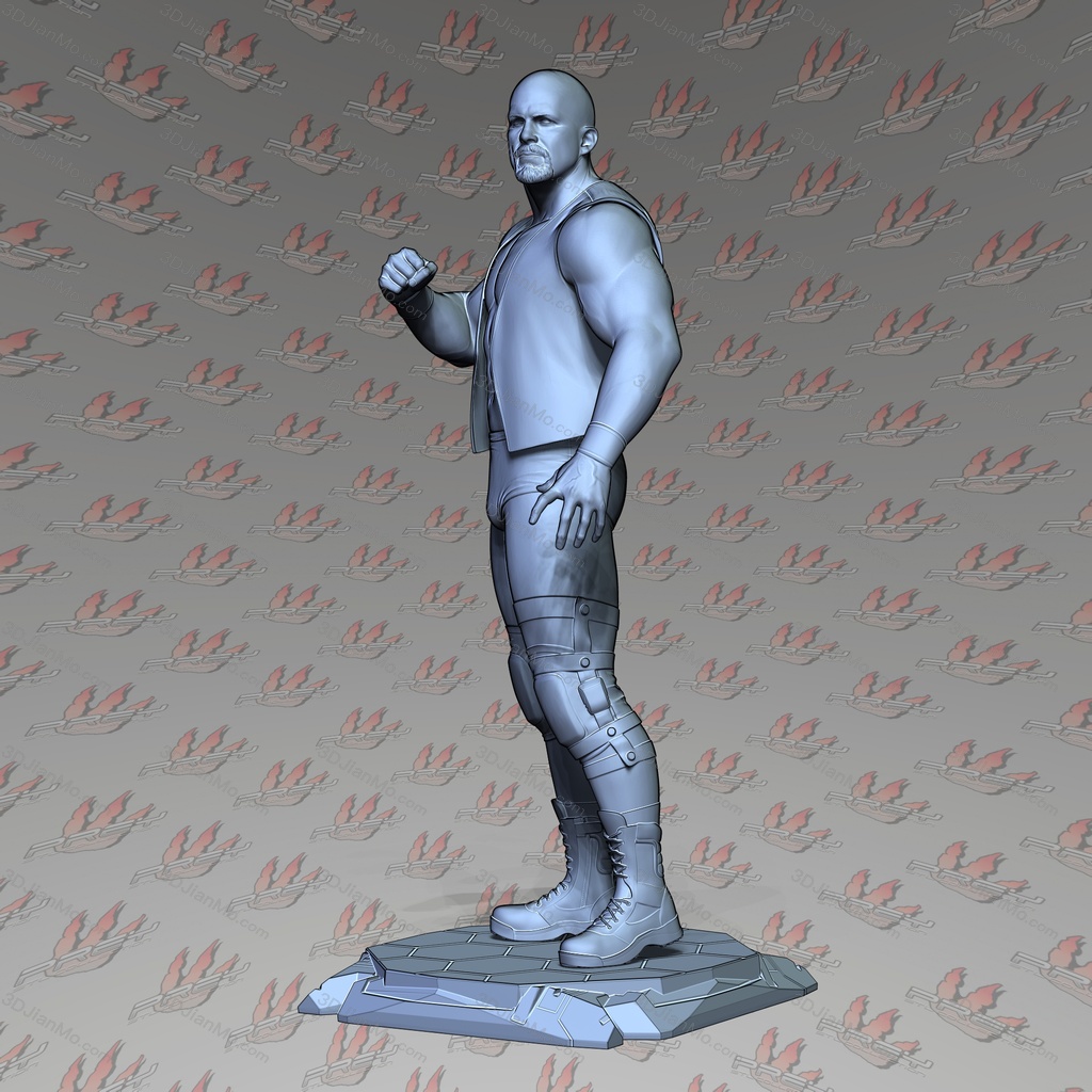 PCS 摔角手 史蒂夫·奥斯汀