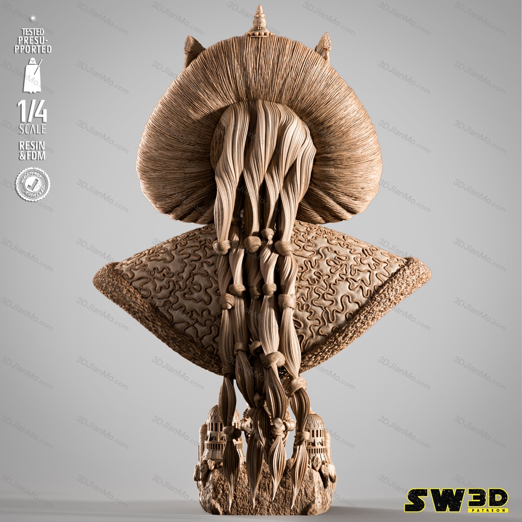 SW3D 星球大战 帕德梅
