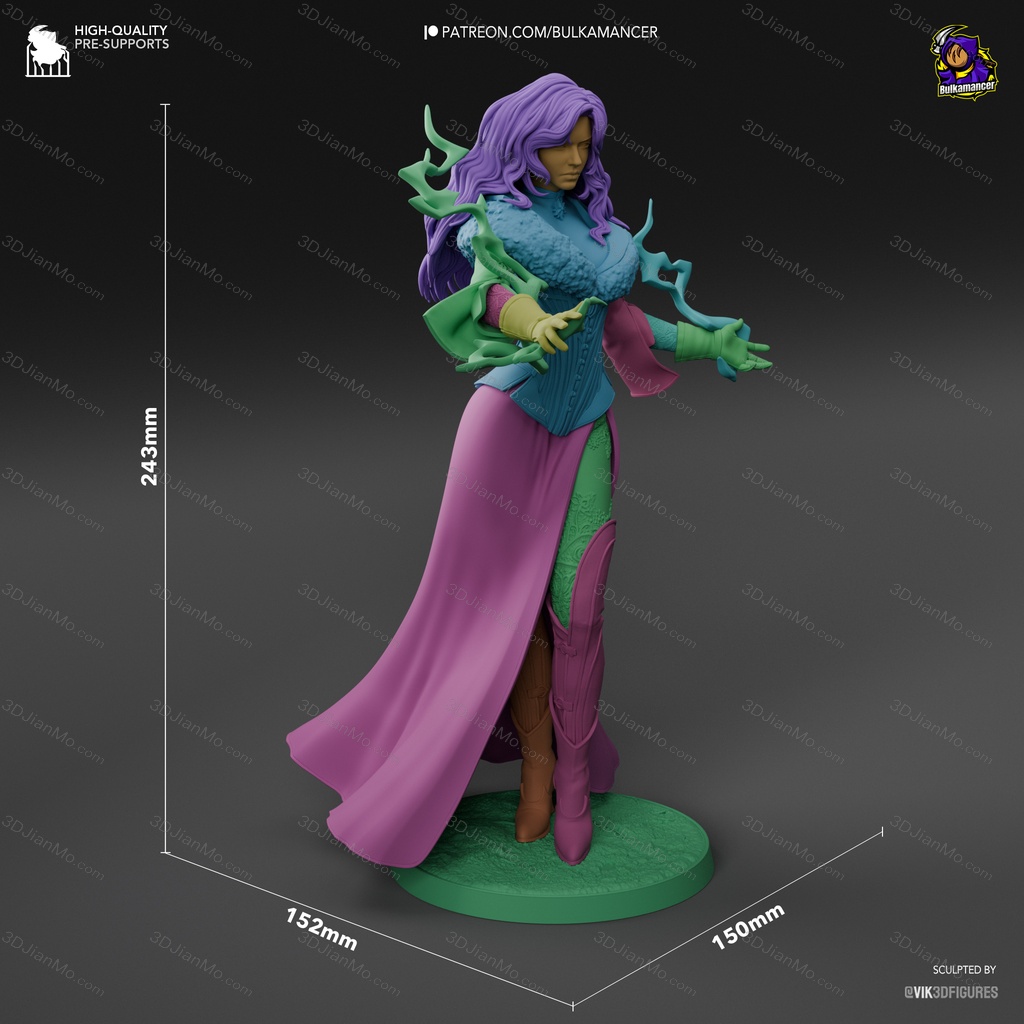 Bulkamancer 巫师 叶奈法