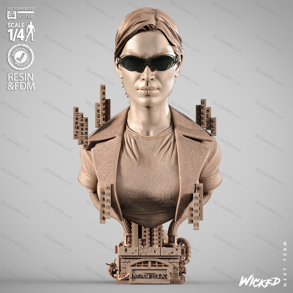 3DWicked 骇客帝国 崔妮蒂
