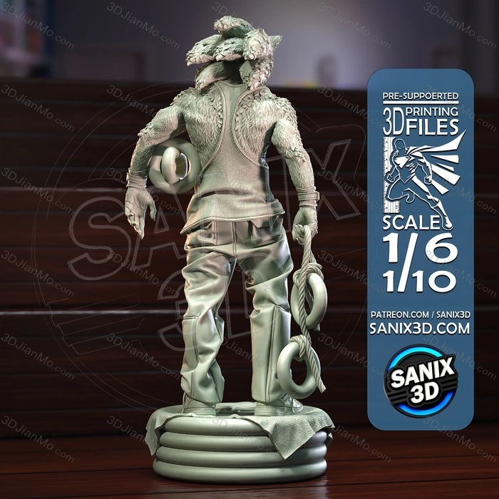 Sanix3d 索尼克