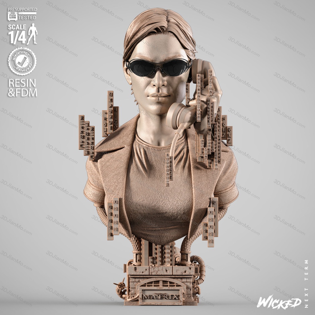 3DWicked 骇客帝国 崔妮蒂