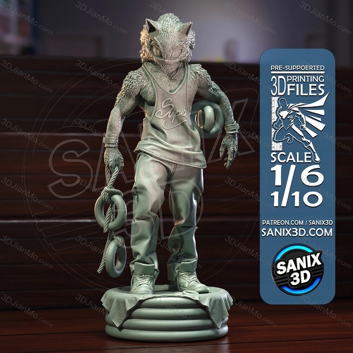 Sanix3d 索尼克