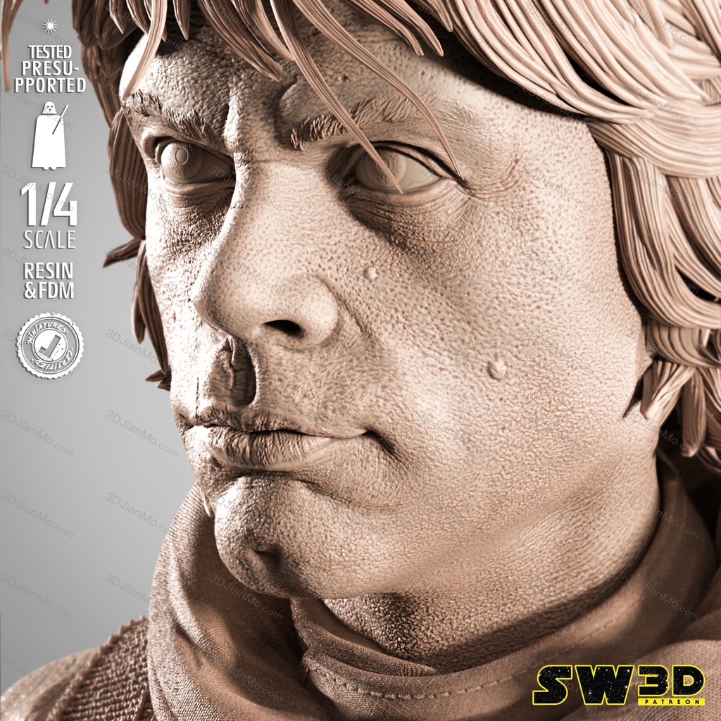 SW3D 曼达洛人 卢克