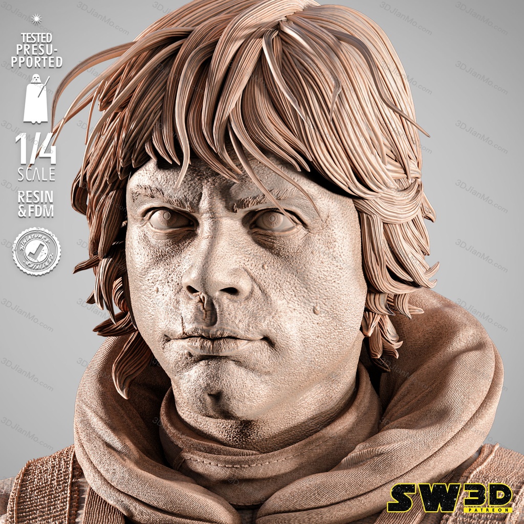 SW3D 曼达洛人 卢克